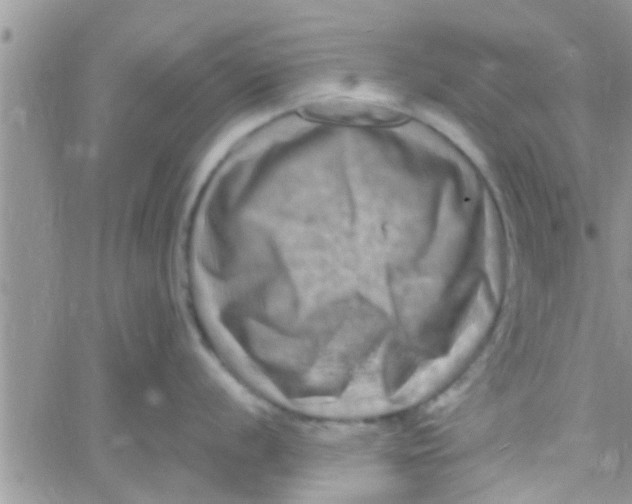 X0000061151056200512091954