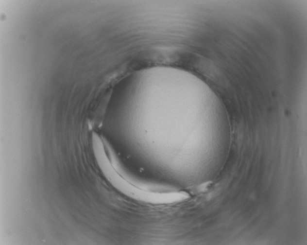 X0000061151058200512091953