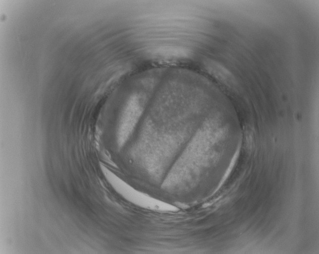 X0000061151060200512091953