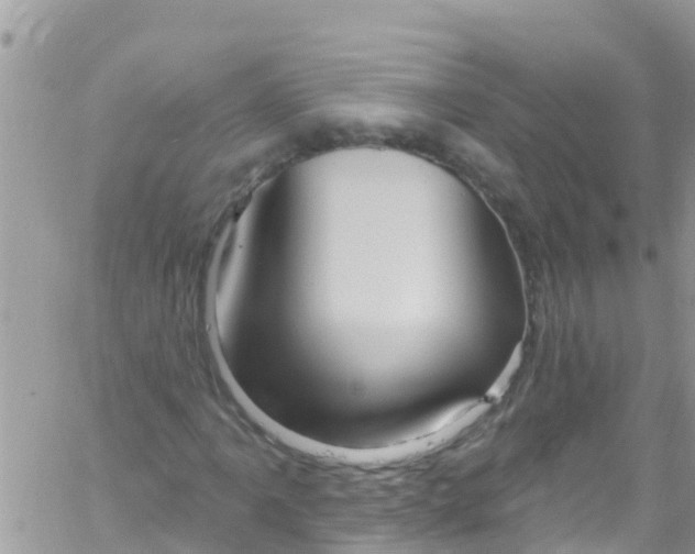 X0000061151061200512091953