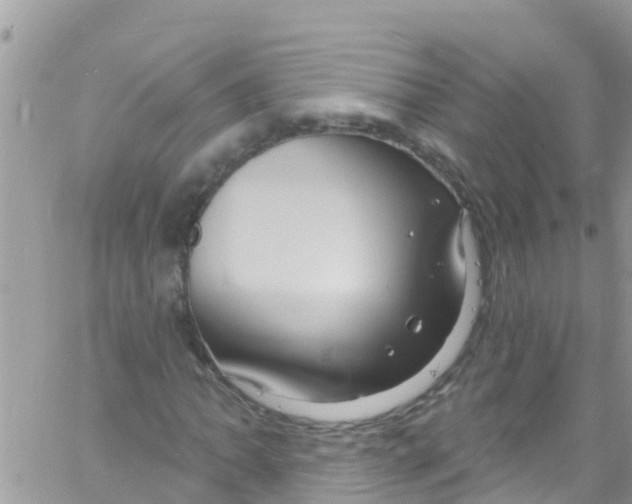 X0000061151062200512091953