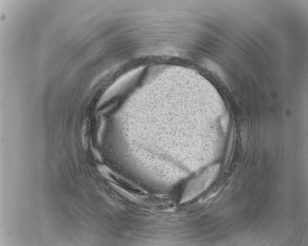 X0000061151064200512091953