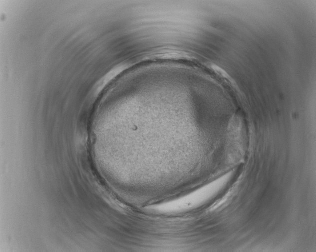 X0000061151065200512091953