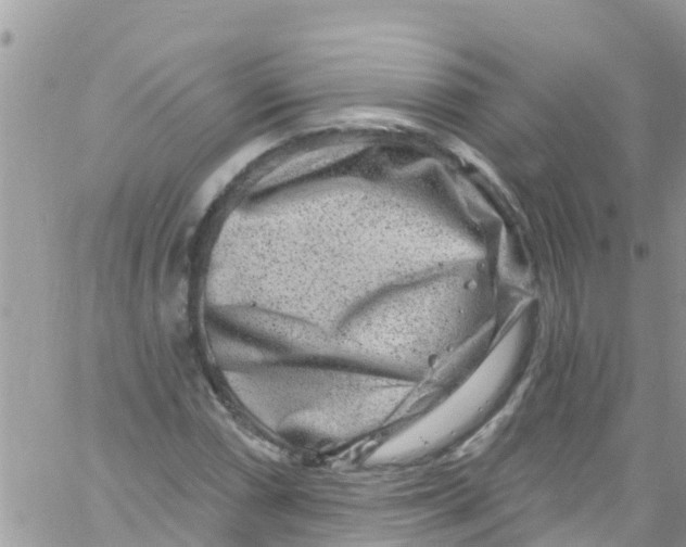 X0000061151066200512091953