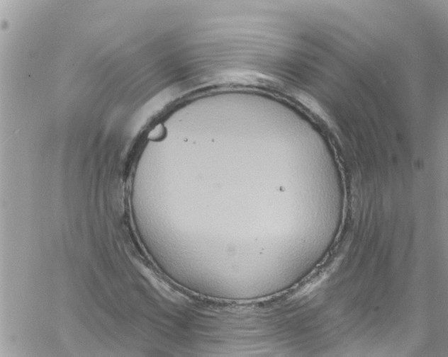 X0000061151067200512091953