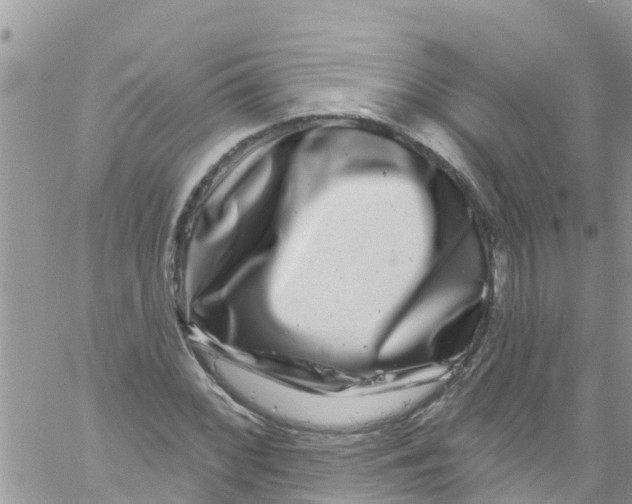 X0000061151068200512091953