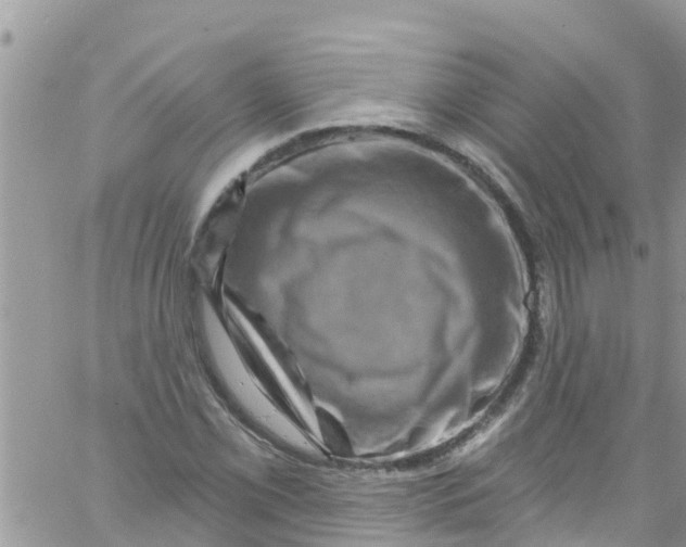 X0000061151069200512091953