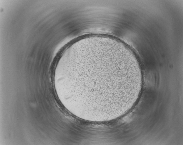 X0000061151070200512091953