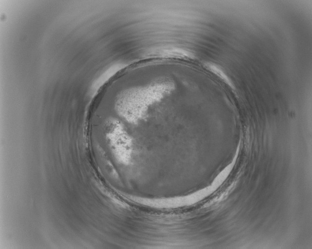 X0000061151071200512091953