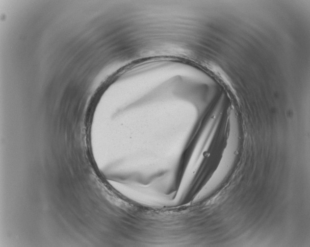 X0000061151072200512091953