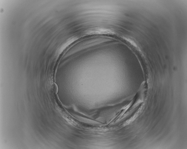 X0000061151073200512091953