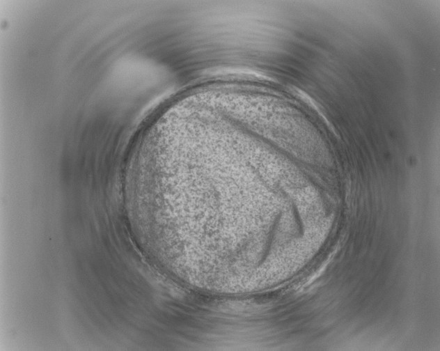 X0000061151074200512091953