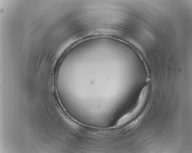 X0000061151075200512091953