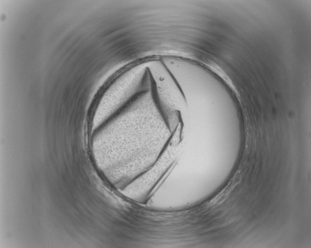 X0000061151076200512091953