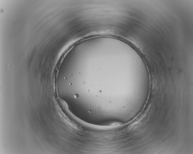 X0000061151078200512091953