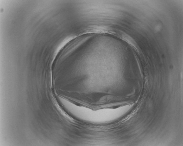 X0000061151079200512091953