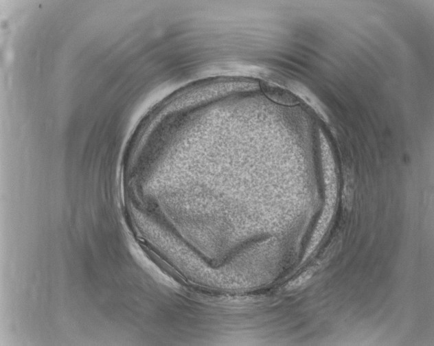 X0000061151080200512091953