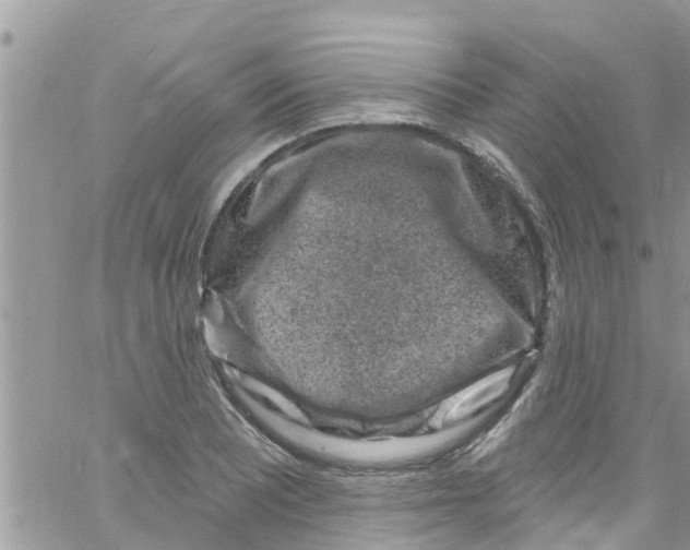 X0000061151081200512091953