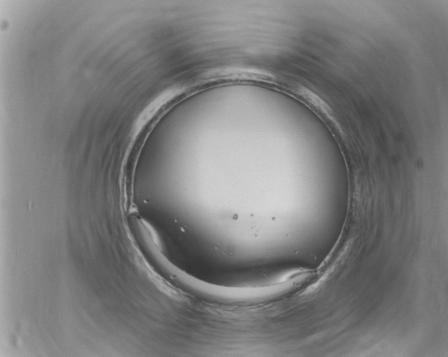 X0000061151082200512091953