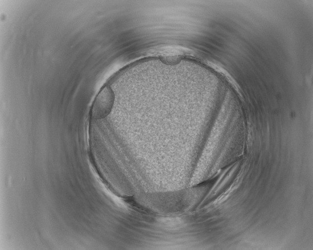 X0000061151083200512091953