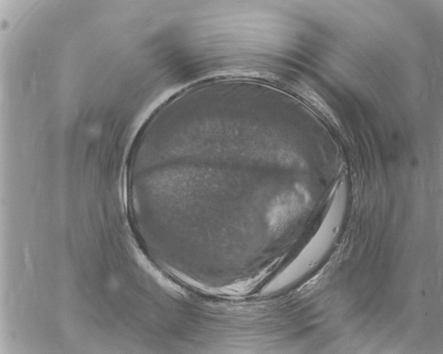 X0000061151084200512091953