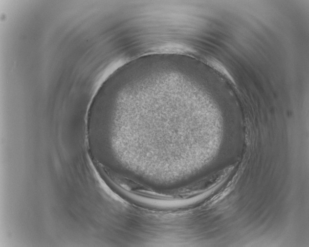 X0000061151087200512091953