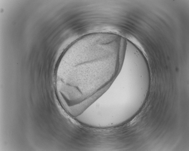 X0000061151088200512091953