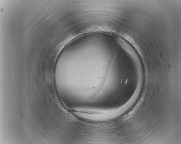 X0000061151089200512091953