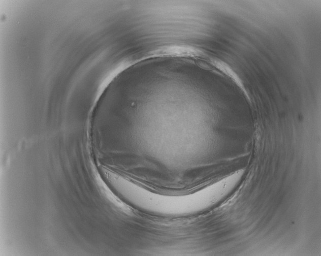 X0000061151091200512091953