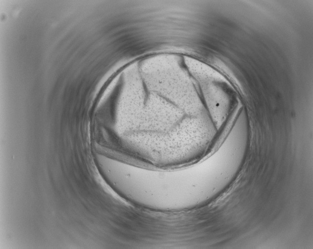 X0000061151092200512091953