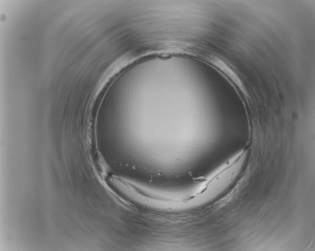 X0000061151093200512091953