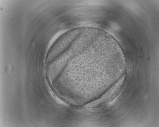 X0000061151094200512091953