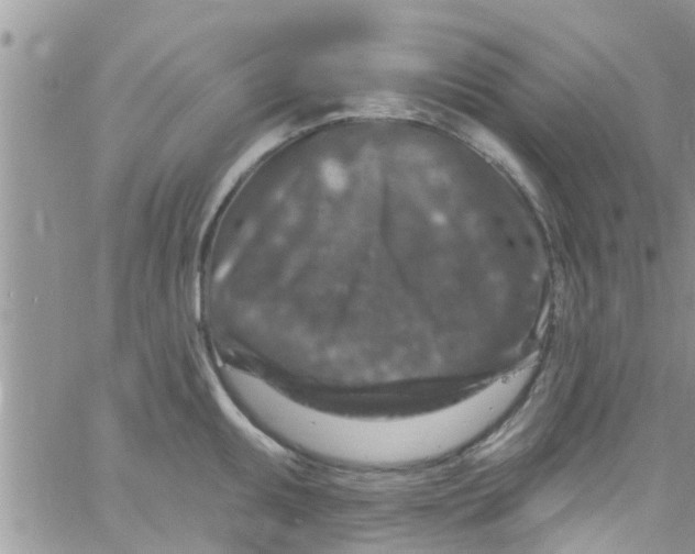 X0000061151095200512091953