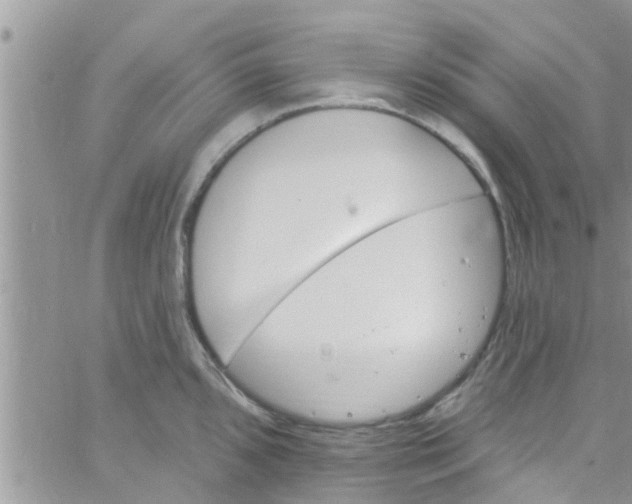 X0000061151096200512091953