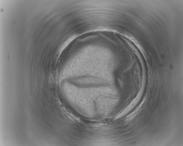 X0000061151097200512091953