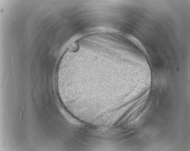 X0000061151098200512091953