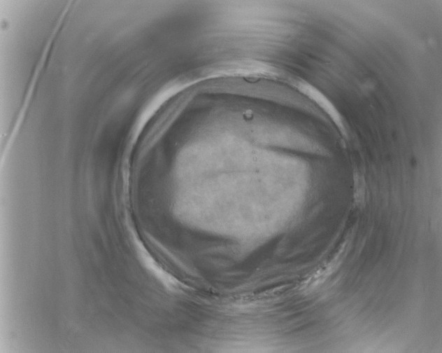 X0000061151099200512091953