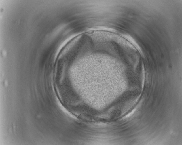 X0000061151100200512091953