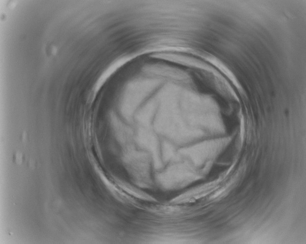 X0000061151101200512091953