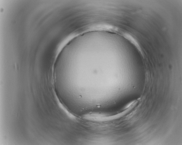 X0000061151103200512091953