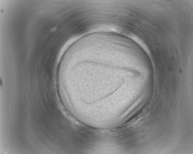 X0000061151104200512091953