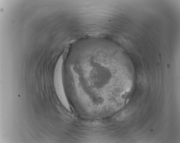 X0000061151106200512091952