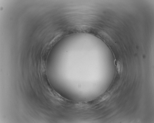 X0000061151107200512091952