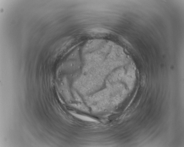 X0000061151108200512091952