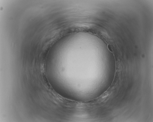 X0000061151109200512091952