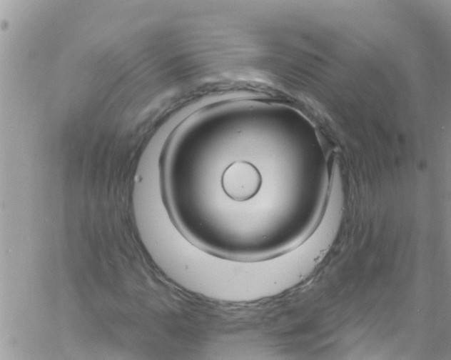 X0000061151110200512091952