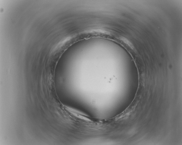 X0000061151111200512091952