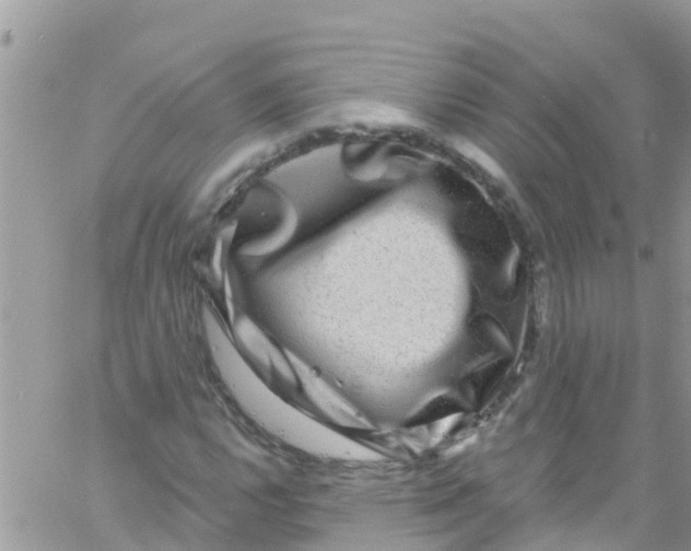 X0000061151112200512091952