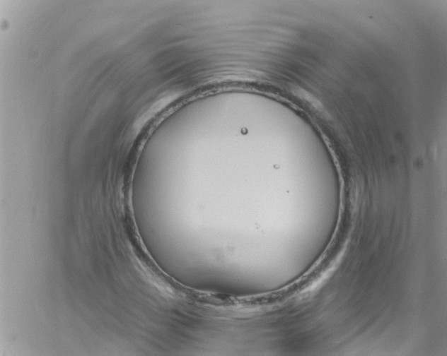 X0000061151113200512091952