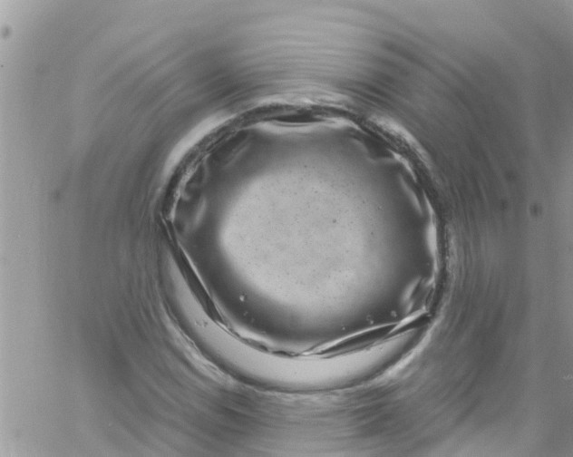 X0000061151114200512091952